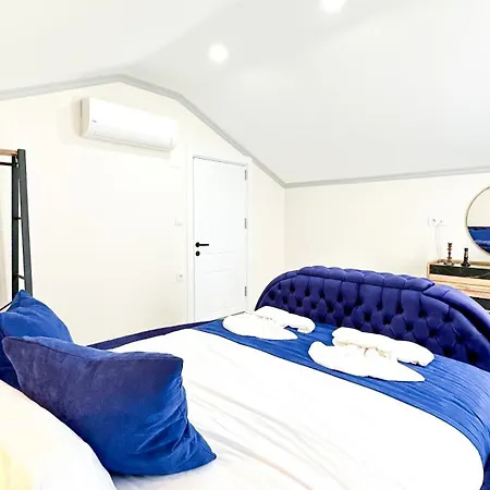 Goel Villalari 别墅 *