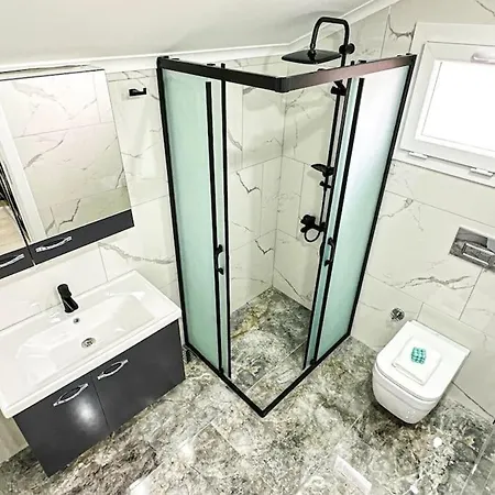 Goel Villalari 别墅 费特希耶